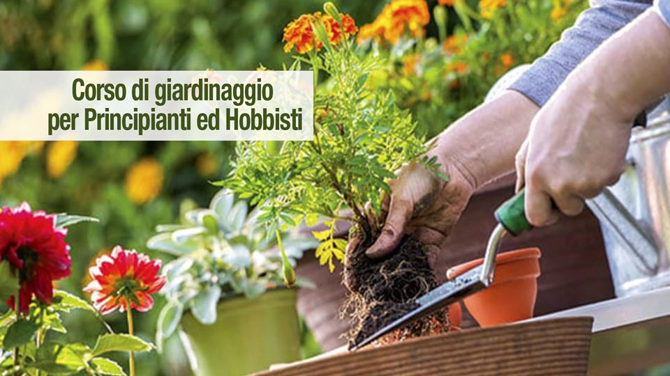 Azienda Agricola COSTANZO SAVIO E DORIANO - corsi di giardinaggio e orticoltura